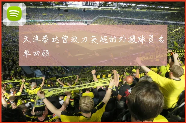 天津泰达曾效力英超的外援球员名单回顾